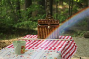 Picnic In Independence Day